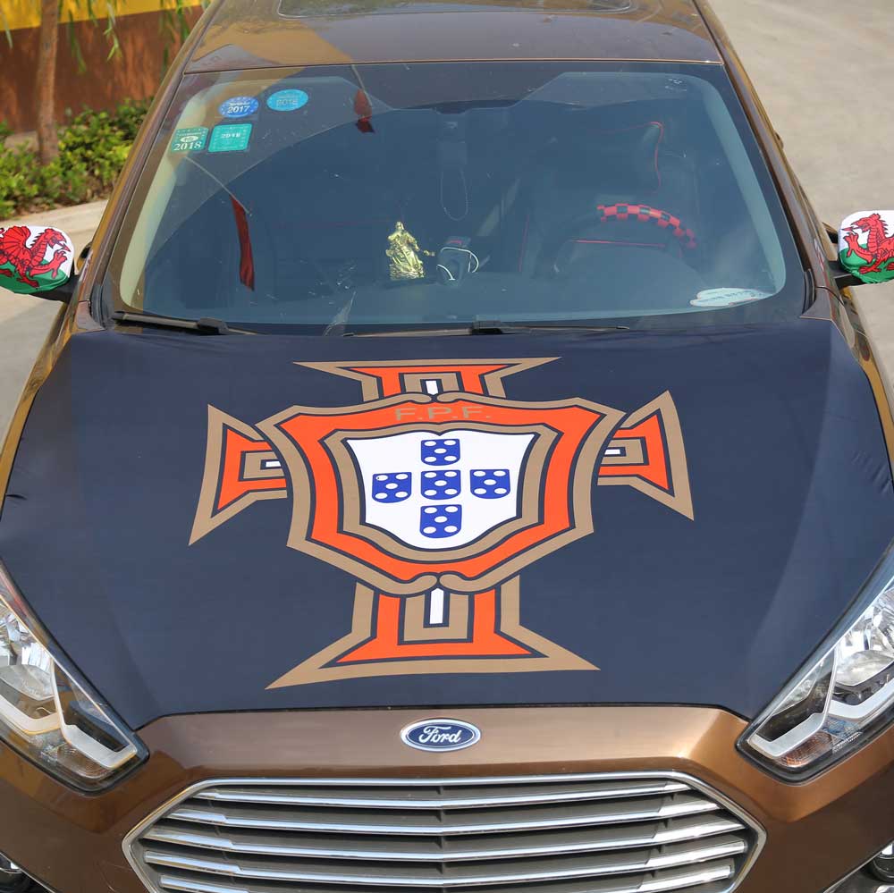 Car cover3.jpg
